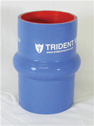 TRIDENT272V 2T 13