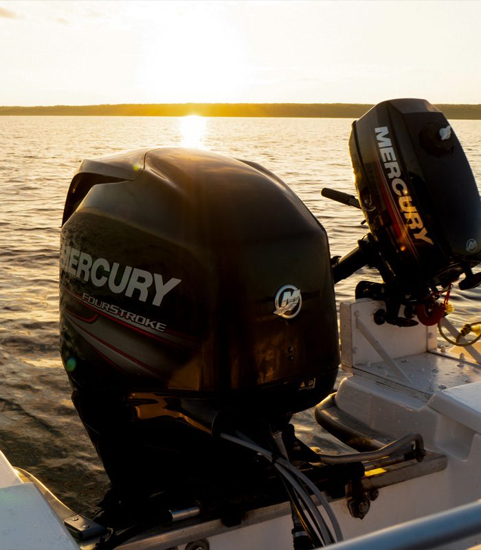 Boat Owners Warehouse Outboard Engines